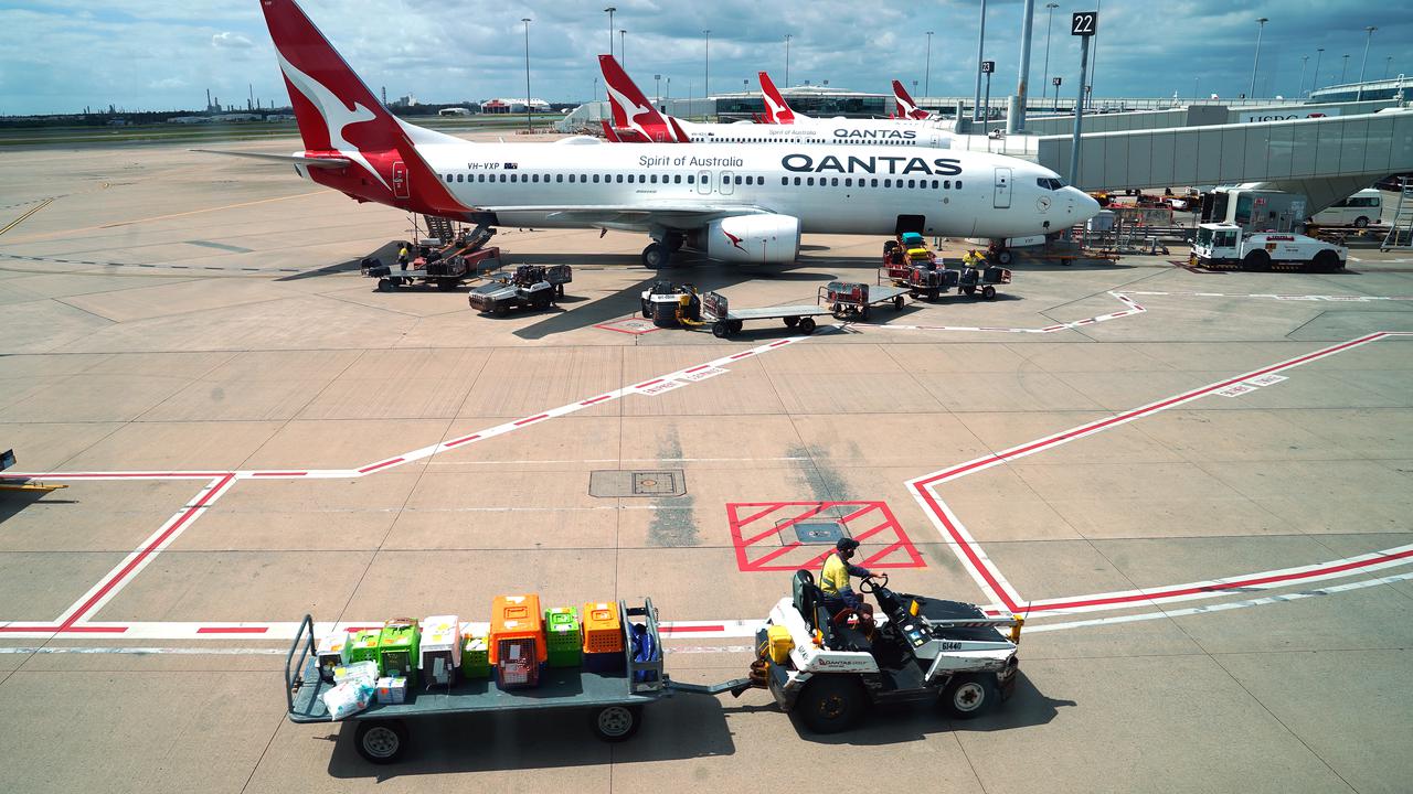 Qantas domestic flight numbers are expected to halve amid the latest COVID lockdowns.
